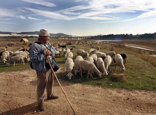 Un pastor con su rebaño | Edición impresa | EL PAÍS