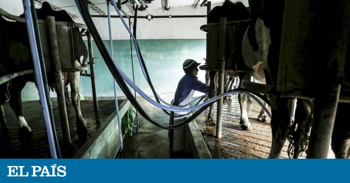 O discreto milagre da esquerda uruguaia: 15 anos de crescimento ininterrupto