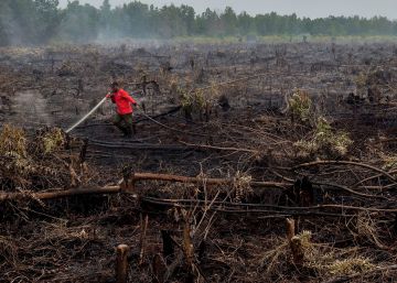 España e Italia se quedan solas en la defensa del diésel de aceite de palma