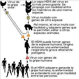 Se cura la gripe aviar