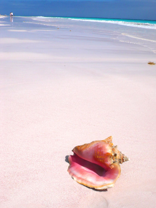 Bahamas La Playa De La Pantera Rosa Blog Paco Nadal El Pais