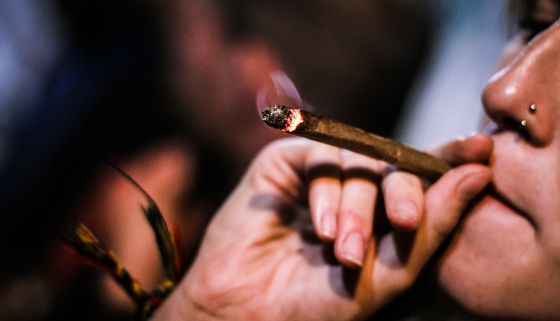 THC para el cáncer de próstata