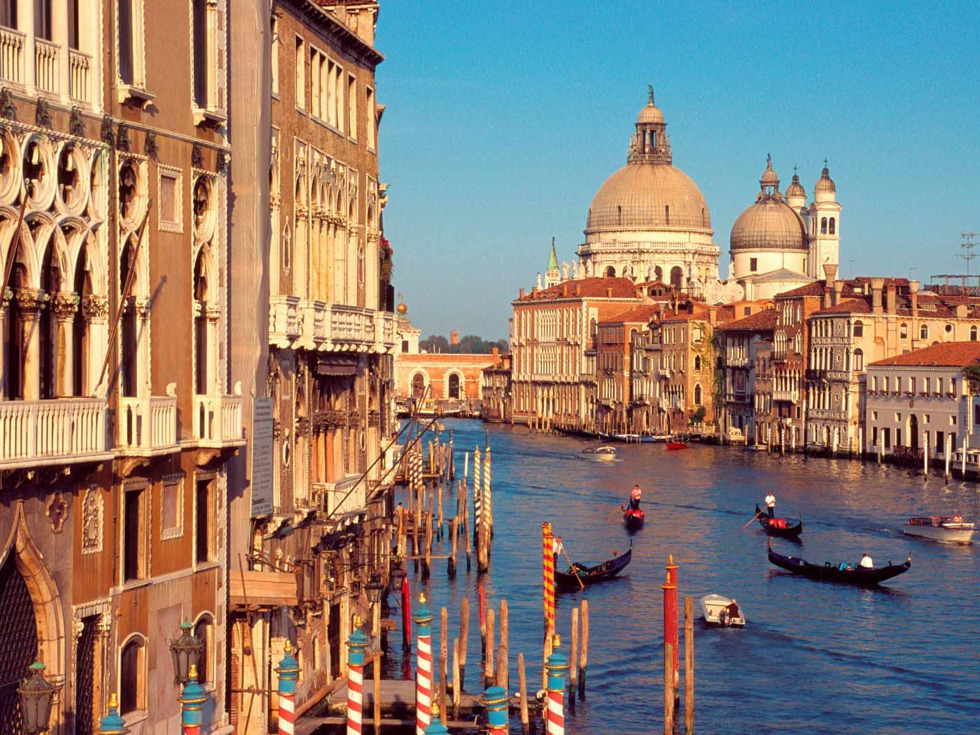 dolor de ingle venecia dolor de ingle venecia