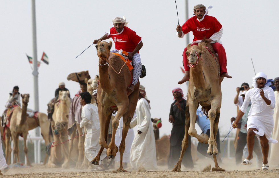 Fotos: Camellos a la carrera | Actualidad | EL PAÍS