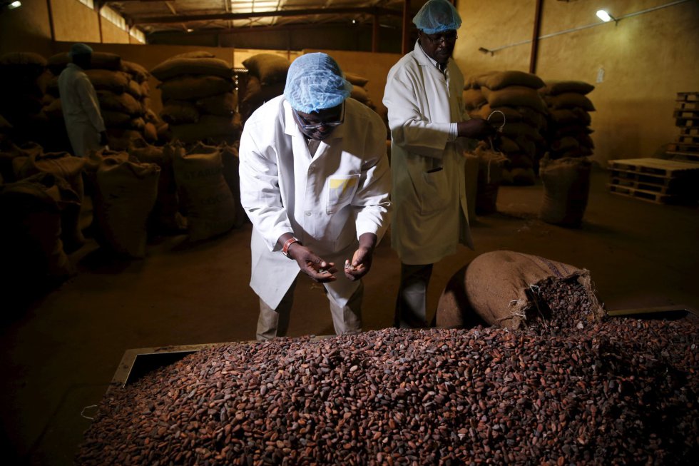 Fotos Desarrollo en África Vivir del cacao Futuro EL PAÍS