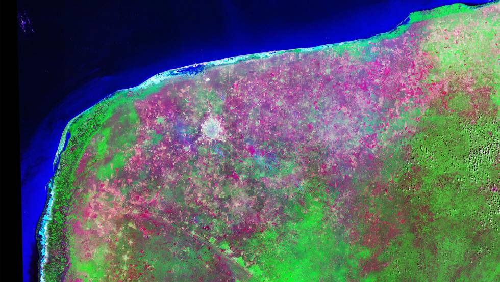 Cráter de Chicxulub El asteroide que cambió el mundo Ciencia EL PAÍS Cráter de Chicxulub El asteroide que cambió el mundo Ciencia EL PAÍS