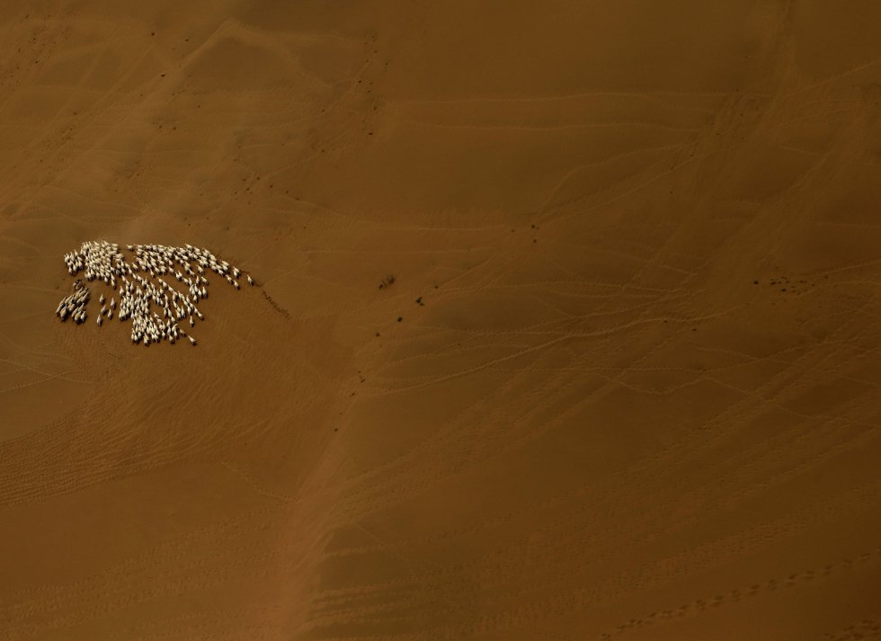 Fotos El Desierto De Gobi Desde El Aire Actualidad El PaÍs 