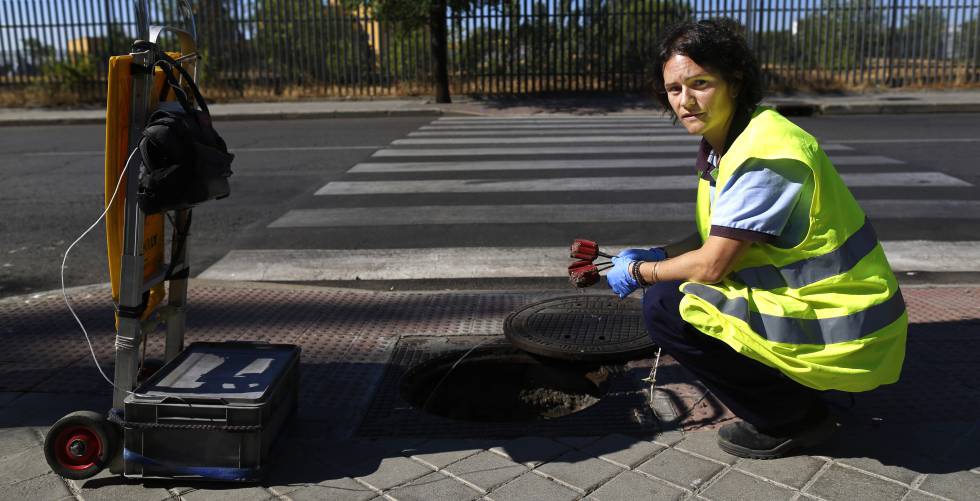 Plagas Los 26 Enemigos De Las Ratas Actualidad El Pais