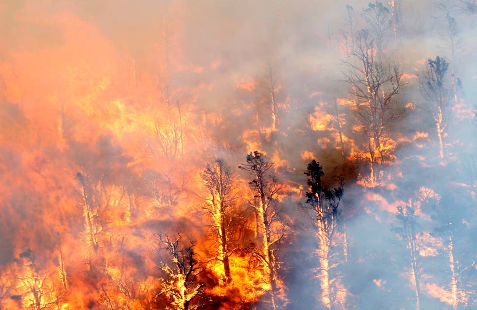 Fotos Incendio forestal en California, en imágenes Internacional EL PAÍS