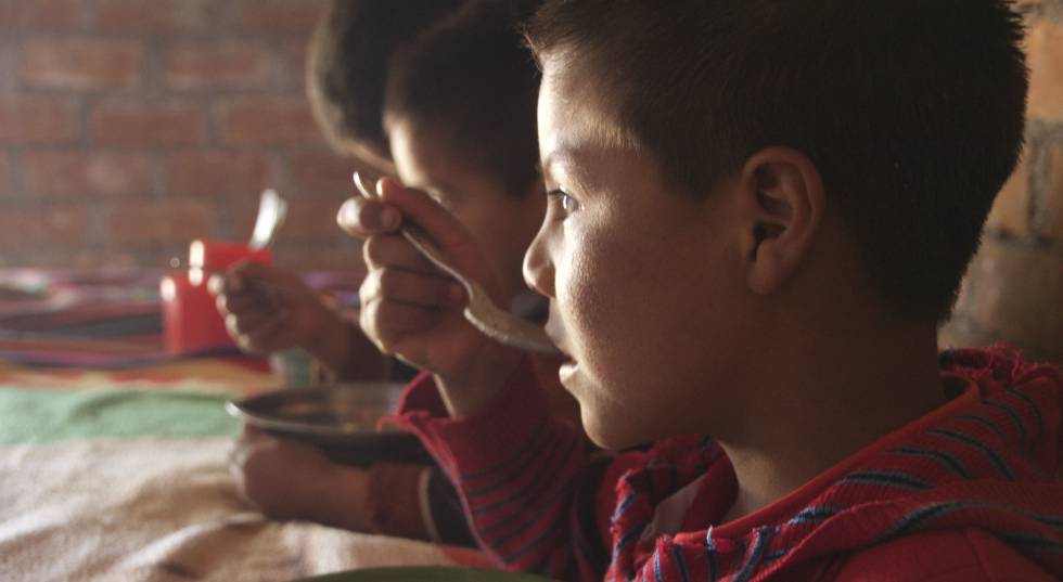 Desnutrición En Perú La Sangrecita Un Remedio Ancestral Andino
