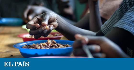 La malnutrición es un problema de todos | Planeta Futuro
