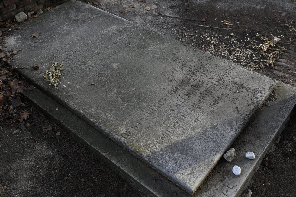 Fotos El patrimonio abandonado del mayor cementerio de Europa Madrid