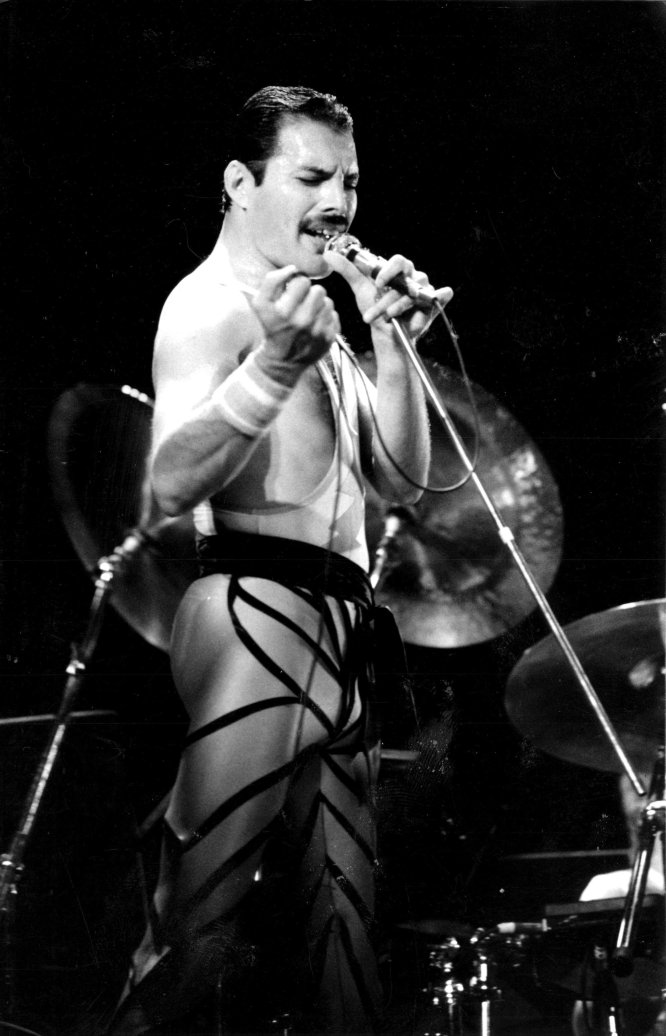Fotos 72 aniversario de Freddie Mercury
