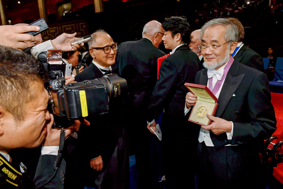 Fotos Los Premios Nobel 2016, en imágenes Cultura EL PAÍS Fotos Los Premios Nobel 2016, en imágenes Cultura EL PAÍS
