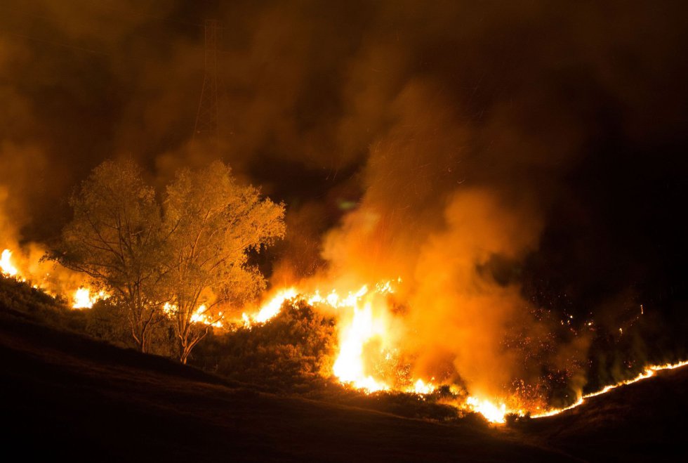 Fotos: Incendio en Nueva Zelanda | Internacional | EL PAÍS