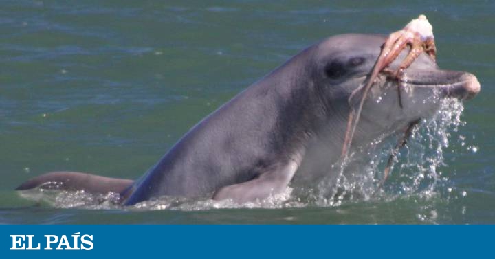 Imagen relacionada