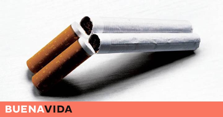 Fotorrelato: Día Mundial Sin Tabaco: Las campañas más creativas para poner  freno al tabaquismo | BuenaVida | EL PAÍS