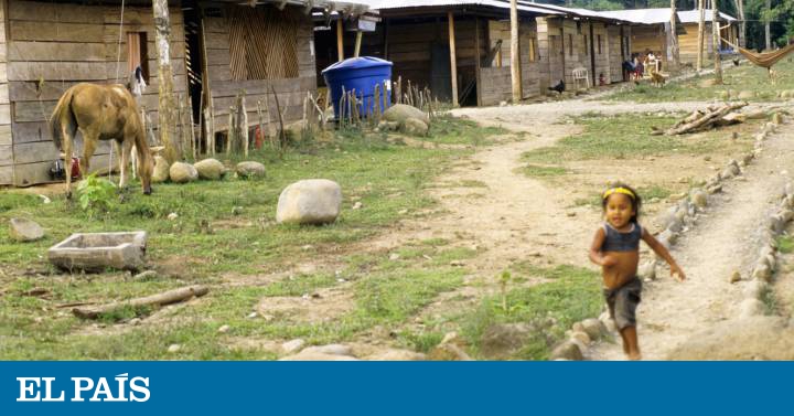 Fotos Un Pulso A La Guerra En Colombia Planeta Futuro El Pais