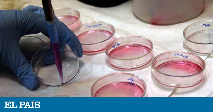 nuevos medicamentos para la diabetes mellitus tipo 2, cuál es su lugar en la terapia