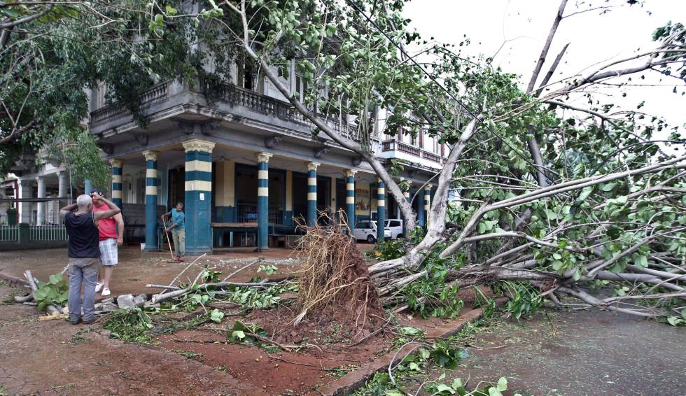 Dos hombres observan un árbol caído en una calle en La Habana.