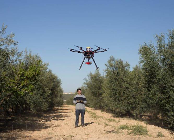Fotorrelato: Agricultores, enfermeros y policías: así son los drones más  profesionales | Talento Digital | EL PAÍS