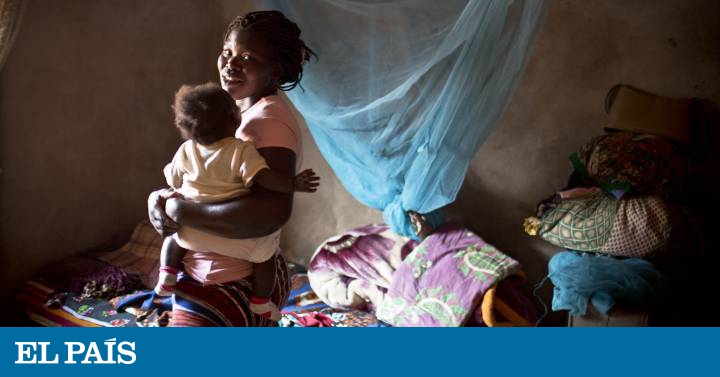 Proximo Reto Malaria En Embarazadas Planeta Futuro El Pais