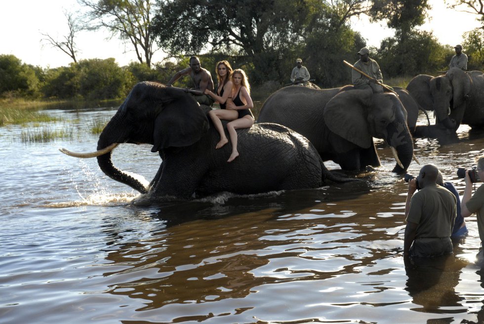 El calendario Pirelli 2009 fue firmado por Peter Beard, y en él rindió homenaje a a África. Hizo posar a las modelos junto a elefantes, serpientes y leones africanos. El calendario se tituló Only beauty can save the world” (Solo la belleza puede salvar el mundo).