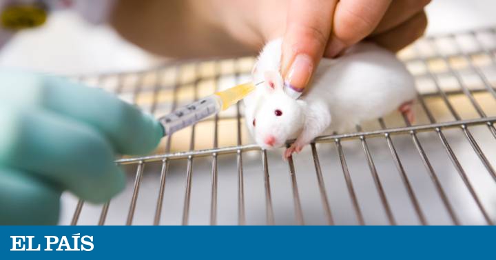Medicina de redução em uma potência
