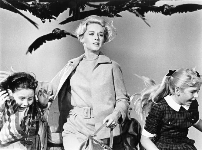   Cómo es.  Cuando, por causas desconocidas, de pronto los pájaros se declaran en rebeldía y atacan a los humanos, quien se lleva la peor parte es Melanie Daniels (interpretado por Tippi Hedren). El personaje sufre en la película los ataques despiadados de las aves, pero la actriz también fue sometida durante el rodaje al sadismo del misógino Hitchcock, que la torturó física y psicológicamente.     Cómo quedaría.  Una Melanie Daniels empoderada en lugar de victimizada sería una bonita idea de partida. Que el acartonado Rod Taylor sea objeto de la agresividad de los pájaros, mientras ella acude a su rescate con un lanzallamas cuando las cosas se ponen feas. Nada impide además que lo haga impecablemente vestida con esos estupendos 'tailleurs', aunque del collar de perlas podría prescindir, porque las perlas hacen muy mujer-objeto.