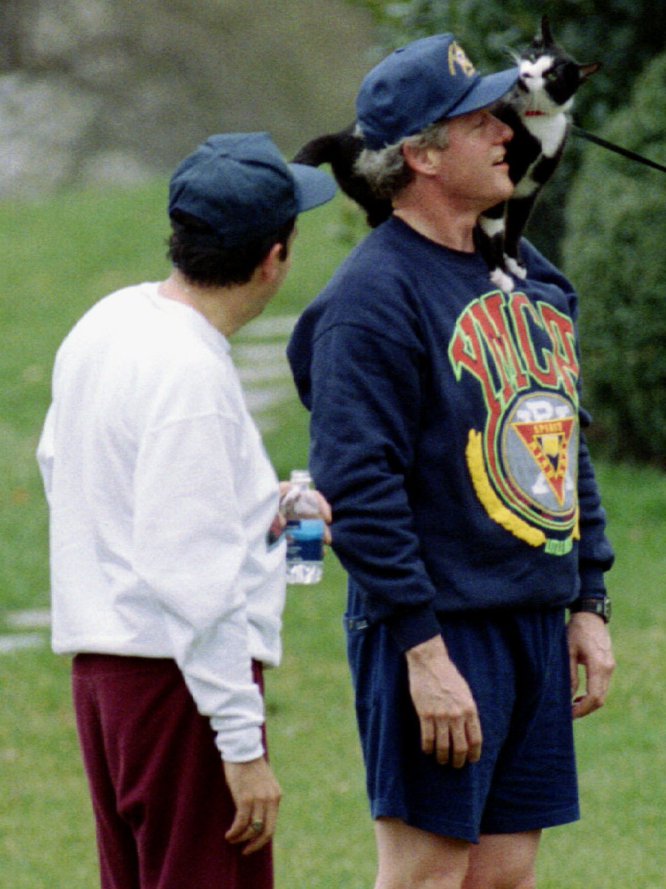 Bill Clinton deja que el gato Socks se suba sobre su hombro tras su paseo matutino, el 25 de marzo de 1993.