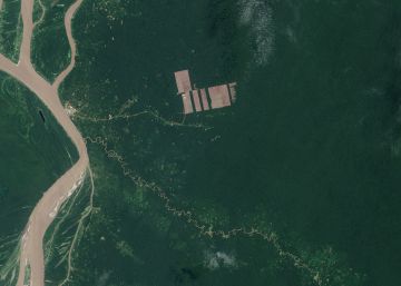 La deforestación aumenta el impacto de la radiación solar en la superficie terrestre