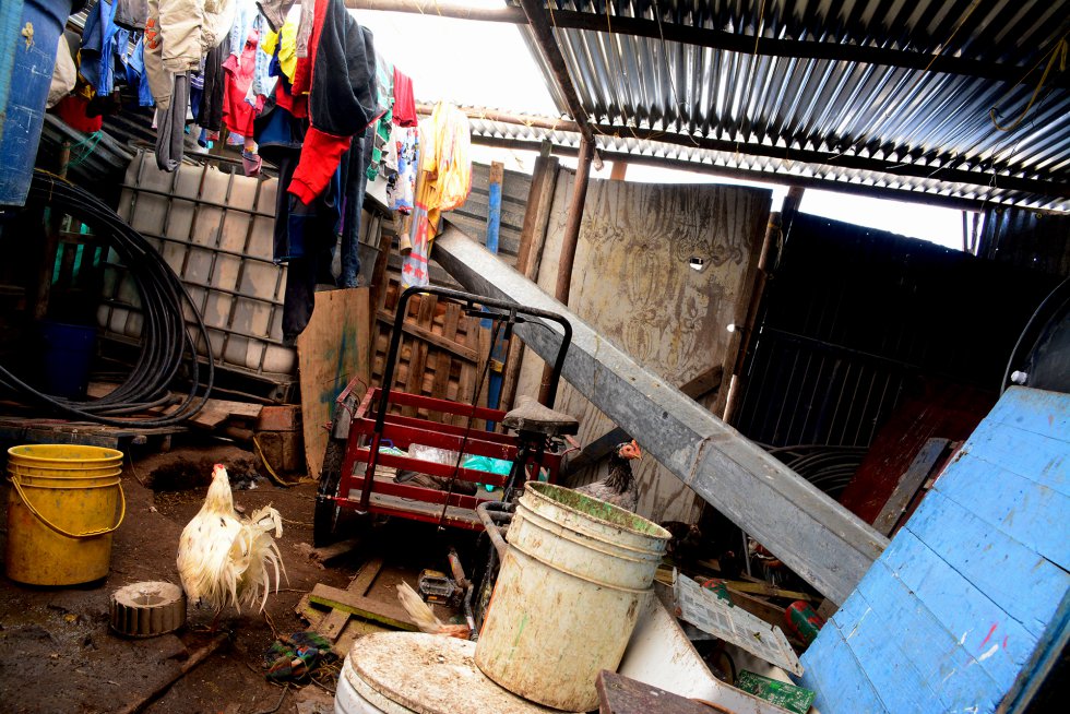 Entrada de la vivienda de Jessica. Ahí el suelo es de tierra y es el lugar donde viven gallinas y pollos que tiene para autoabastecimiento.rn