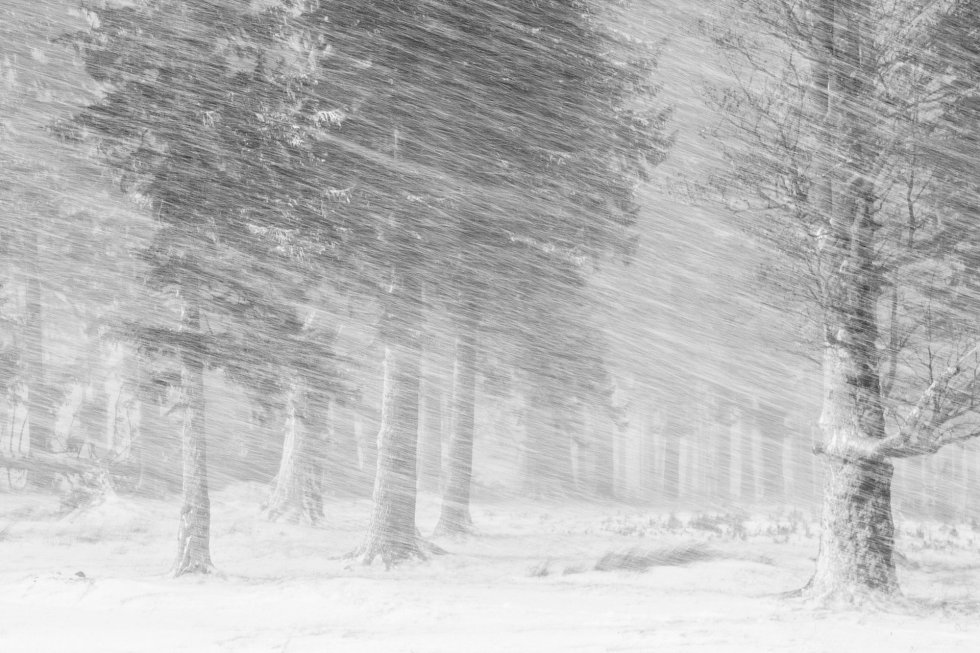 Fotografia ganhadora na categoria: Snow. Parque Nacional das Montanhas Ciucas, Romênia.