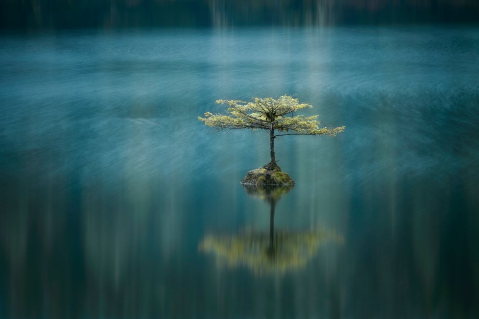 Fotografia da série ganhadora do segundo prêmio no International Landscape Photographer of the year. Fairy Lake, Columbia Britânica, Canadá.