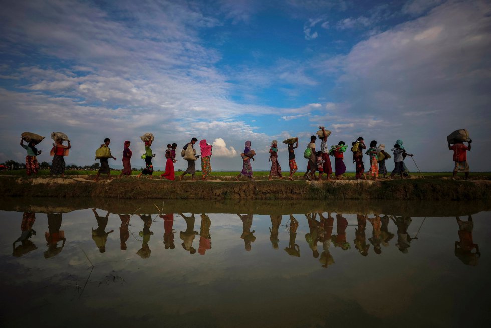 Refugiados rohingyas refletidos na água da chuva ao longo de um aterro próximo a um arrozal depois de fugir de Myanmar para Palang Khali, perto do Cox's Bazar (Bangladesh), em 2 de novembro de 2017.