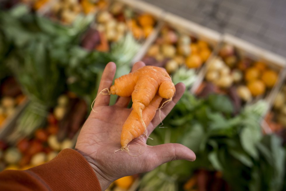 Fruta Feia (Fruta fea) es un proyecto de Isabel Soares, una ingeniera ambiental portuguesa que estaba harta de la cantidad de comida desperdiciada debido a la estética. Si una verdura o fruta no es lo suficientemente hermosa, a menudo los supermercados no la compran. Isabel se dio cuenta de esto y comenzó un proyecto en 2013 para salvarla de la basura. Desde entonces, su equipo y ella han recuperado casi 850 toneladas de productos.