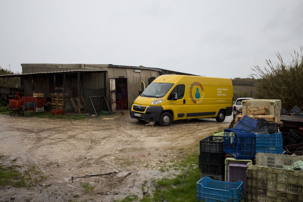 La furgoneta de Fruta Fea acude a recoger los productos que la granjera Isabel Alves no logra vender. "La naturaleza es la que controla todo. En el pasado, hemos llegado a tirar hasta el 60% de nuestras cosechas solo porque no eran perfectas", dice Isabel, que lleva trabajando la tierra desde los 15 años. "De esta manera podemos ganar algo de dinero extra y la vida se vuelve un poco más fácil".