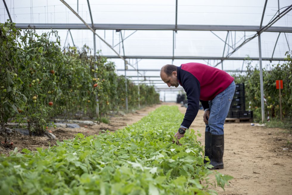 Paulo Dias, un agricultor que vive en el centro de Portugal, fue el primero en unirse a este proyecto. "Tenía un montón de comida buena que simplemente iba a la basura. De esta forma podemos ganar algo de dinero extra", dice.