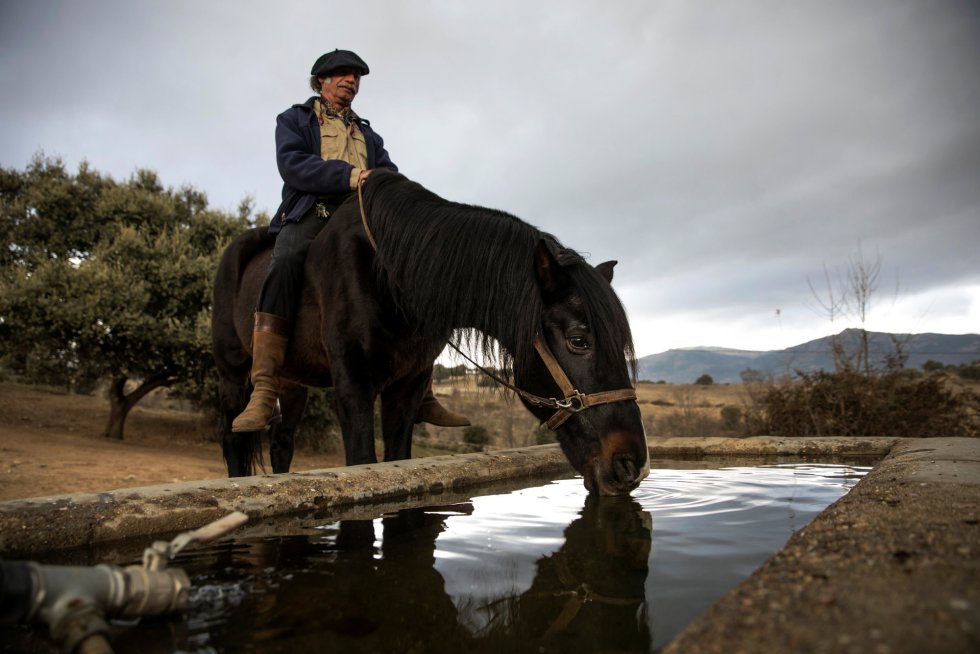 Fotos El Susurrador De Caballos Actualidad El Pais