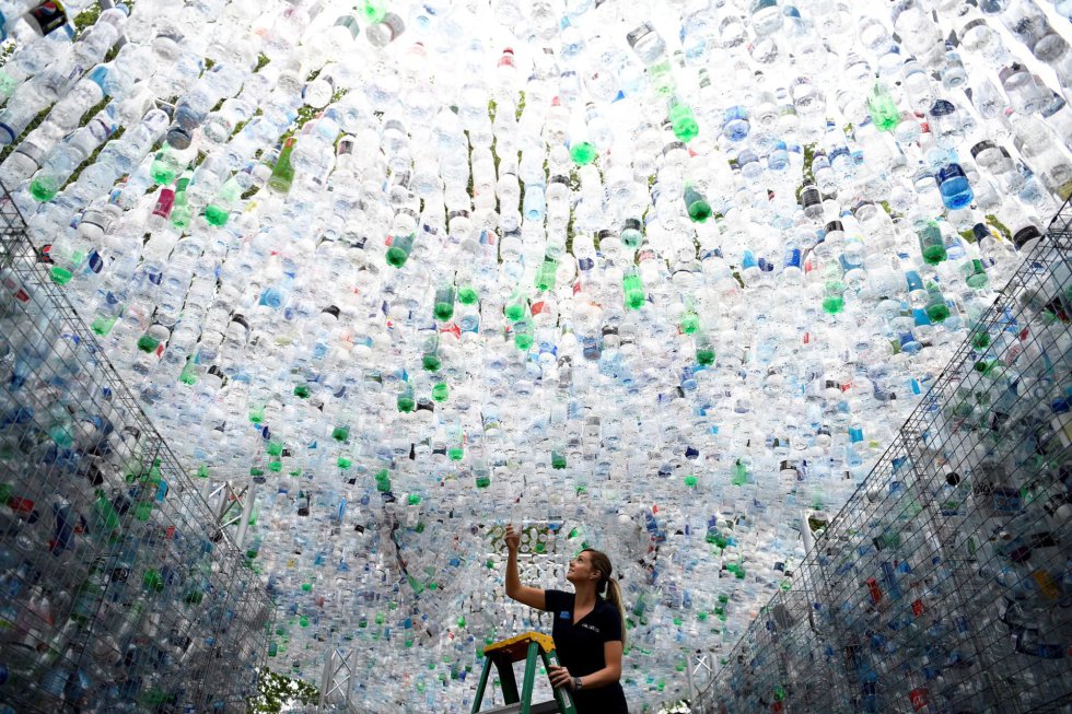Dia Mundial do Meio Ambiente 2018