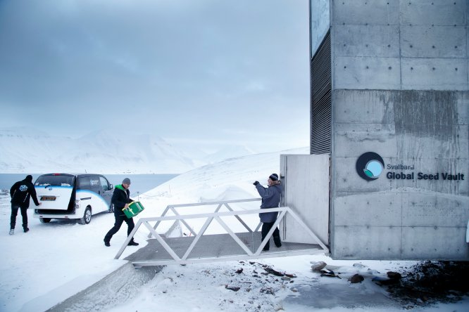 “Em Longyearbyen a catástrofe é constantemente prevista", afirma Javier Reverte. Por isso, para salvaguardar a biodiversidade foi construída em 2008 uma câmara blindada à prova de bombas nucleares e terremotos, o Banco Global de Sementes, que abria cem milhões de sementes de plantas alimentícias. Essas sementes são mantidas a 120 metros de profundidade com uma temperatura estável de -18ºC, condições que garantem sua conservação durante vários séculos. Diante de um cataclismo natural, uma guerra ou um apocalipse, o bando de Svalbard –conhecido popularmente como “o viveiro do fim do mundo” ou “A Arca de Noé vegetal”– daria uma nova oportunidade ao mundo de se reconstruir. “Ali você adquire a consciência de que as mudanças climáticas são algo real que está acontecendo e destruindo o planeta. Medidas como a armazenagem dessas sementes são a prova de que pode ocorrer uma catástrofe a qualquer momento”, afirma Reverte.