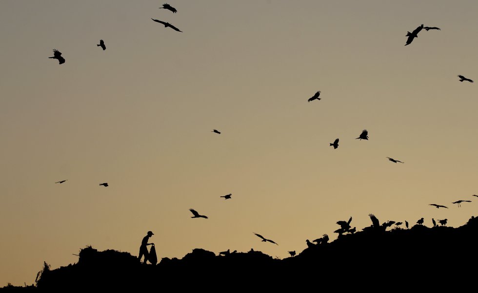 Aves silueteadas sobre un vertedero de Nueva Delhi (India).