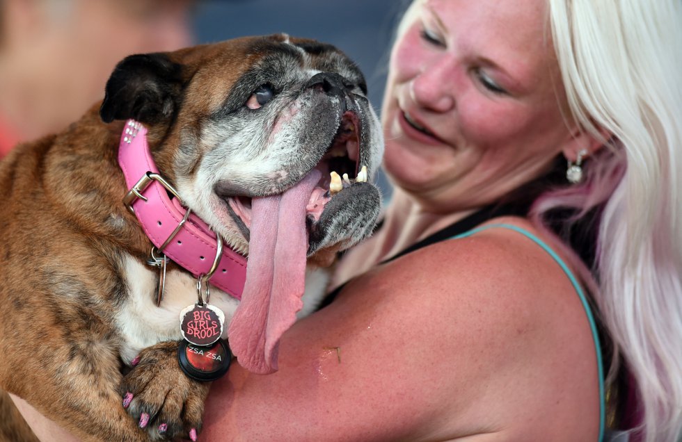 Megan Brainard y su perro, Zsa Zsa, durante la competición 'El perro más feo del mundo' en Petaluma, al norte de San Franciso. Zsa Zsa se hizo con el primer puesto, premiado con 1.500$.