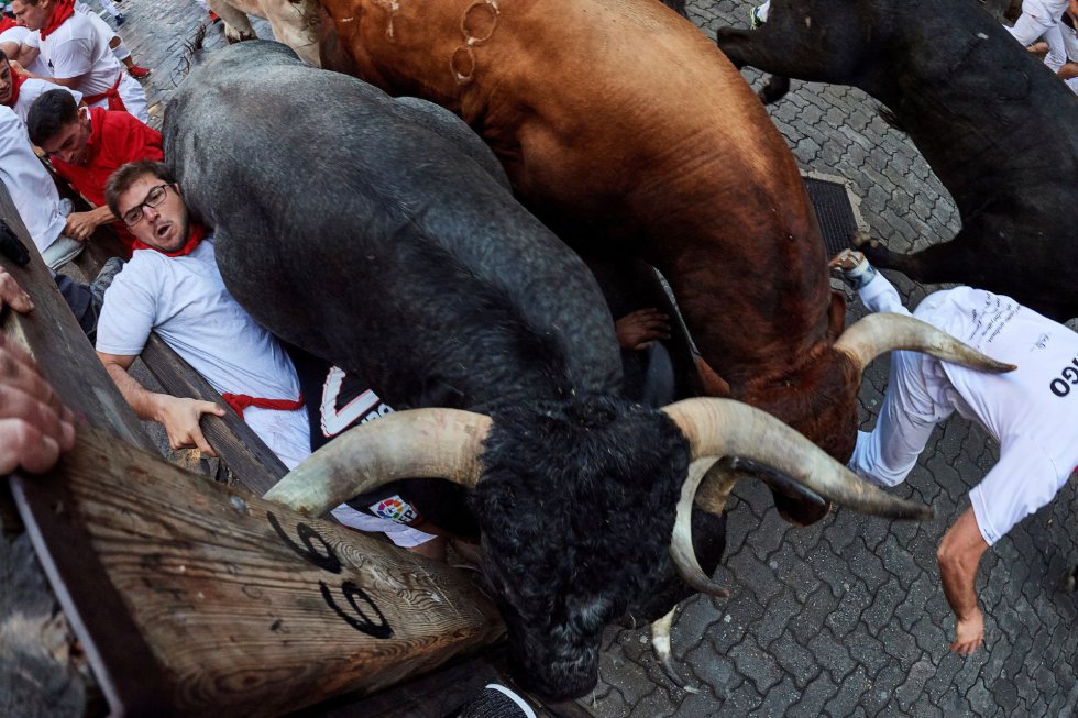 Los toros de la ganadería sevillana durante el octavo y último encierro de los Sanfermines 2018.
