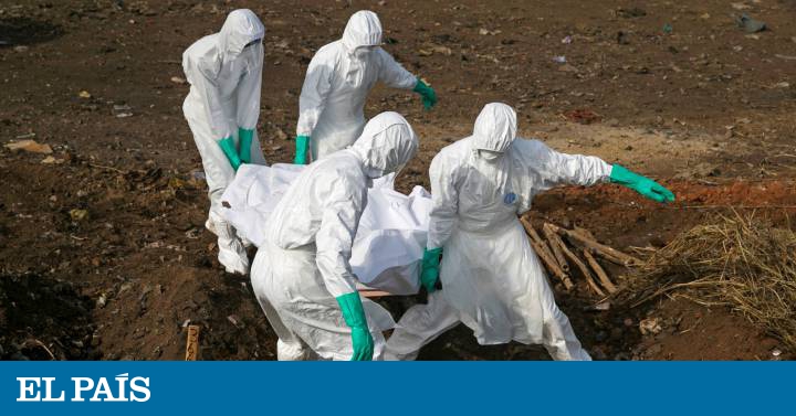 Salud global: Enfermedades de la pobreza | Planeta Futuro | EL PAÍS