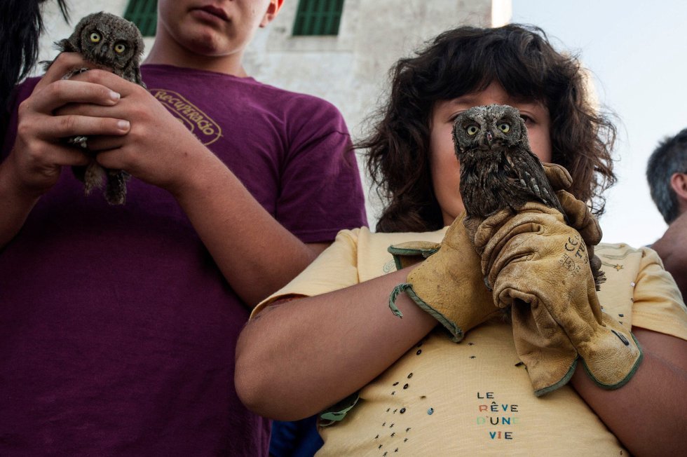 Voluntarios del colectivo ecologista Grupo Ornitológico Balear momentos antes de liberar a 10 búhos huérfanos desde la montaña del Toro en Menorca recuperados en el Centro de Recuperación de Fauna Silvestre ubicado en Ciutadella.