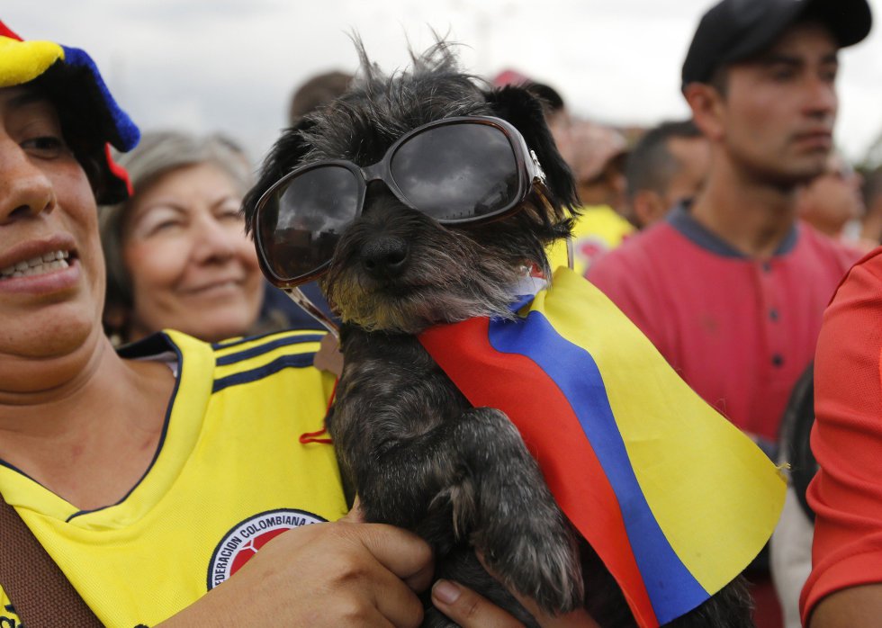 Un aficionado colombiano junto a su perro, vestido con los colores de su selección, durante la retransmisión del partido del Mundial de Rusia entre Colombia e Inglaterra en Bogotá (Colombia). 