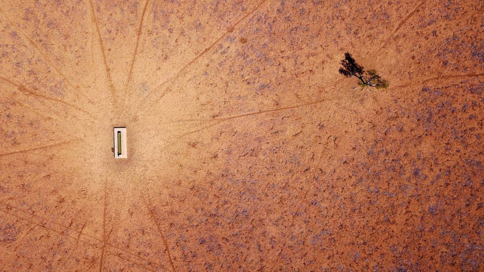 Un Ã¡rbol solitario se encuentra cerca de un abrevadero en Walgett, Nueva Gales del Sur (Australia).