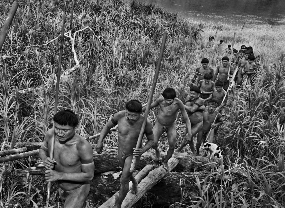 Un grupo de korubos sale de caza en la orilla izquierda del rÃ­o ItuÃ­. En la mano, portan 'cacetes', palos de madera cilÃ­ndricos que usan para golpear.