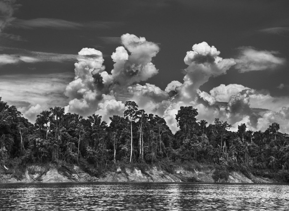 PanorÃ¡mica del rÃ­o ItuÃ­, en el Valle del Javari, la segunda mayor reserva indÃ­gena de Brasil.